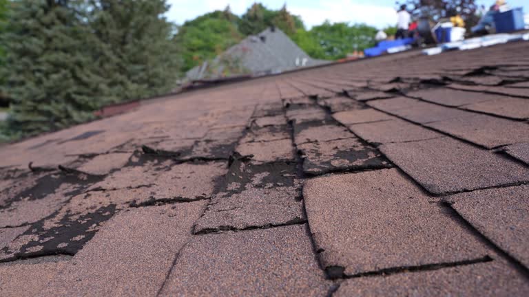 Best Roof Repair  in Champaign, IL